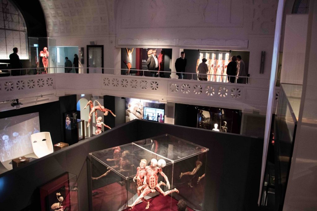 museum exhibitions, 6 Best Creative Museum Exhibitions